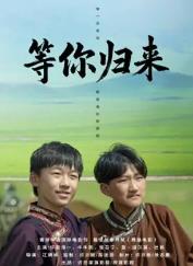 等你归来